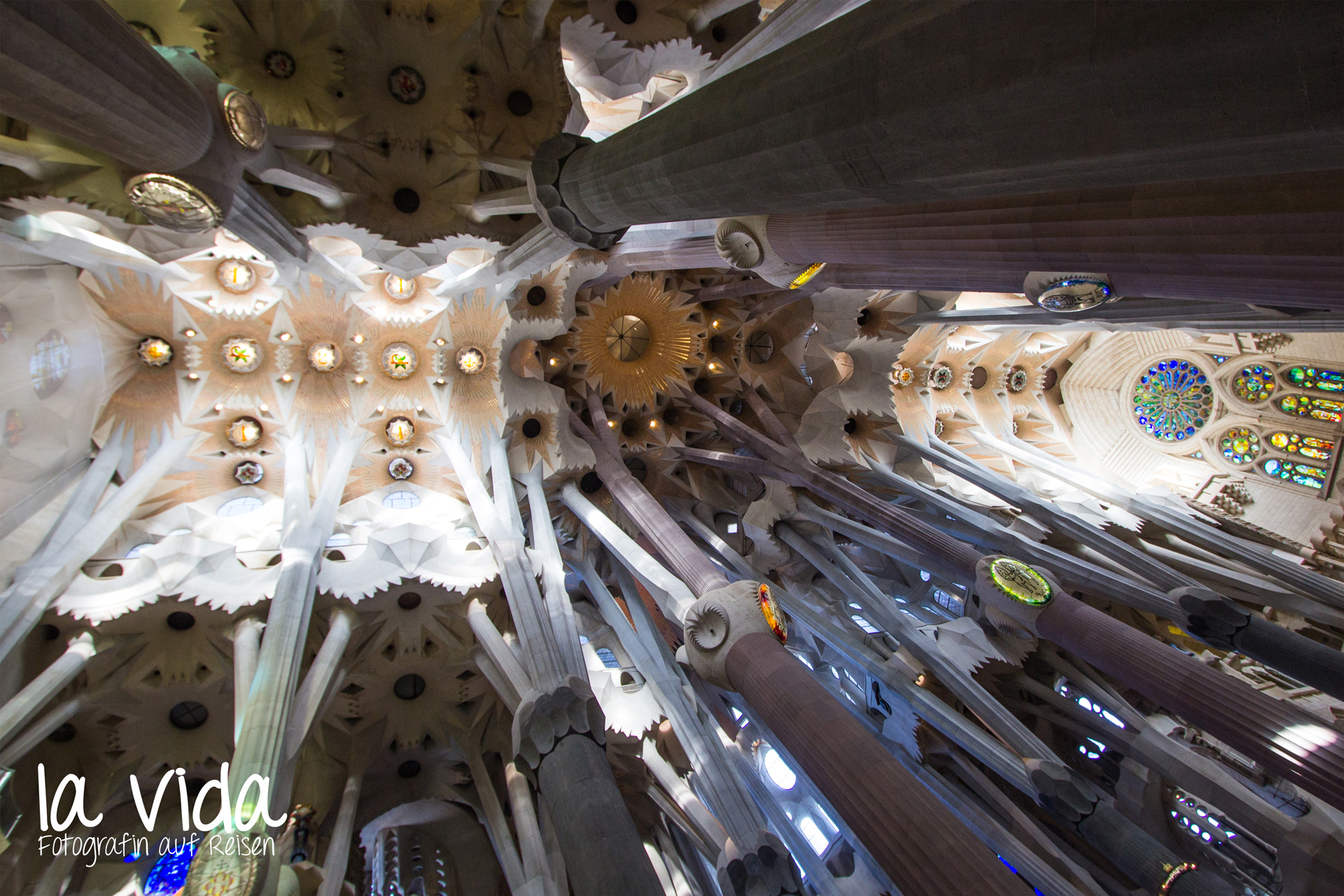 Decke der Sagrada Familia