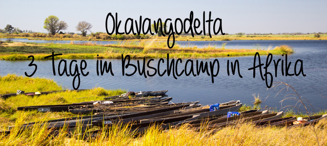 Okavangodelta: 3 Tage im Buschcamp in Afrika