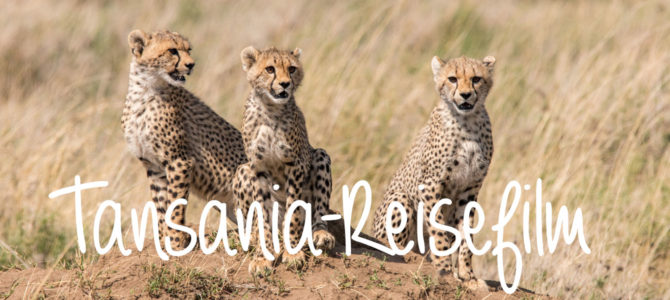 Mein Reisefilm: Rundreise durch Tansania und Sansibar