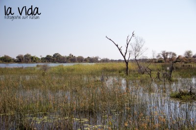 Botswana-Sambia06 