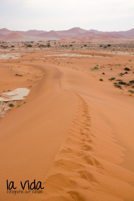 Namibia014 