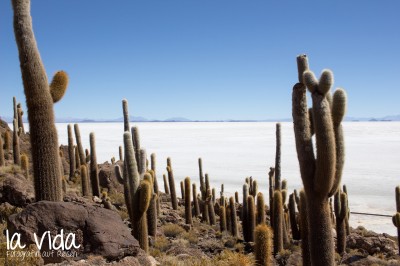 Bolivien058